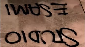 Cover Image for Trasparenti. Non invisibili | Riflessi accademici